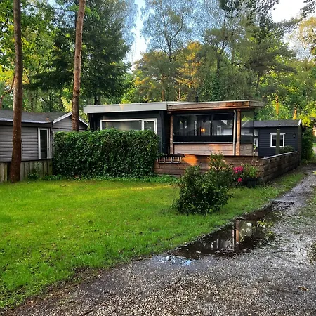 Campsite Bosrijk Midden In De Natuur-eten&drinken-activiteiten-ontspanning-en Nog Veel Hoenderloo
