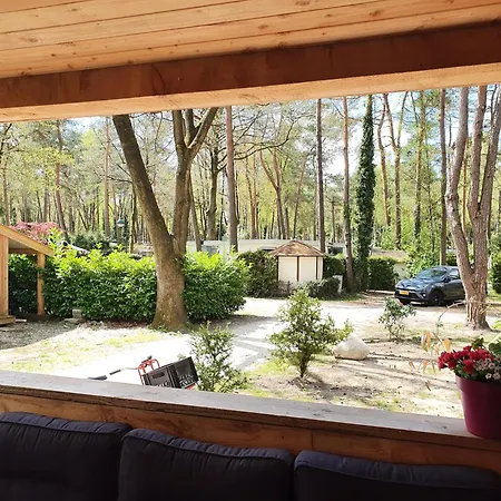 Camping Bosrijk Midden In De Natuur-eten&drinken-activiteiten-ontspanning-en Nog Veel Hoenderloo