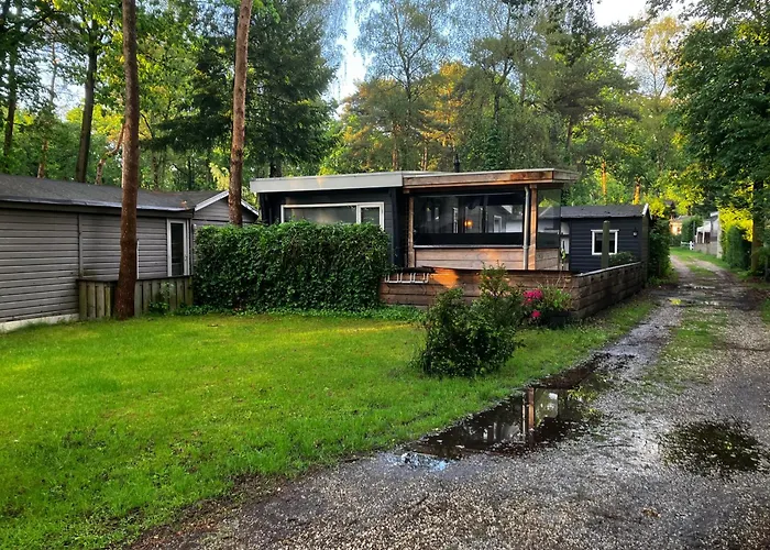 Campingplads Bosrijk Midden In De Natuur-eten&drinken-activiteiten-ontspanning-en Nog Veel Hoenderloo