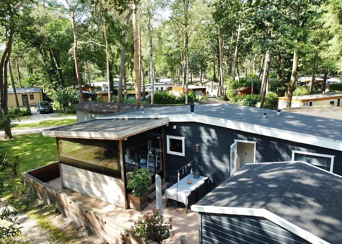 Campingplads Bosrijk Midden In De Natuur-eten&drinken-activiteiten-ontspanning-en Nog Veel *